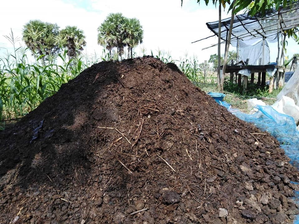 អាជីវកម្មកំប៉ុសគោកផ្តល់ផលចំណេញដល់ទាំងបរិស្ថាន ដំណាំ